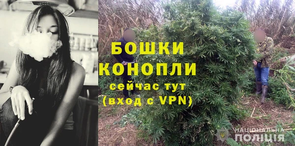 амф Гусиноозёрск