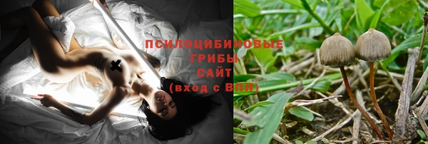 кокс Дмитров