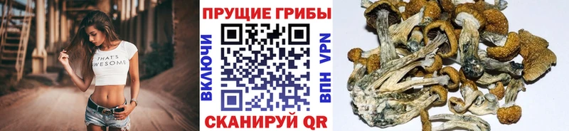 Галлюциногенные грибы GOLDEN TEACHER  Игарка 